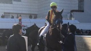 日曜中山６Ｒ新馬は石橋騎乗のミュアウッズが逃げ切り圧勝