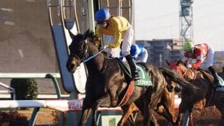 【カペラS】前年比増！藤田菜七子が女性騎手初のJRA平地重賞制覇！