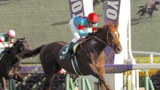 【朝日杯FS】登録馬と見どころ サリオスなど17頭