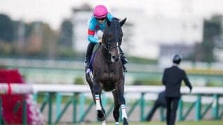 【阪神JF】川田「敗因をこれから探したい」レース後ジョッキーコメント