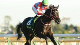 注目の２歳牡馬ランキング。ディープインパクトの後継がついに登場か