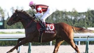 朝日杯FSも波乱のニオイ。オイシイ馬券を味付けしてくれる「穴馬３頭」