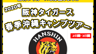 阪神タイガースの春季沖縄キャンプ見学ツアー発売…阪急交通社