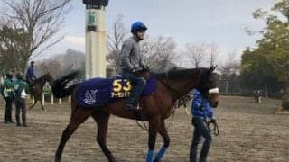 【有馬記念1週前】アーモンドアイ 現役最強馬の仕上がりは如何に