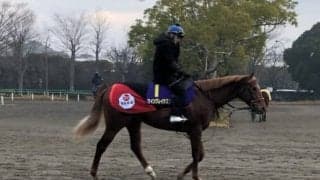 【朝日杯FS】ウイングレイテスト 松岡「素質は高い」