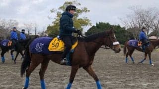 【ターコイズS】フロンテアクイーン 重賞Vと同じ舞台で3度目の正直