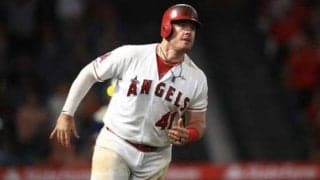 阪神、メジャー通算92発ボーアとの契約締結を発表　ガルシアとも契約更新