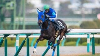 【さざんか賞】ヴァラークラウンが逃げ切りで2勝目