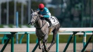 【新馬/阪神5R】8番人気のコンバットマーチが逃げ切り！