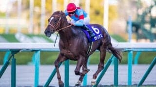 【朝日杯FS】サリオスが無傷の3連勝！圧倒的な強さで2歳王者に