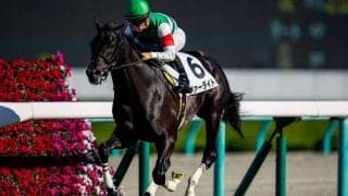 【新馬/阪神5R】超良血馬のヴァーダイトがデビューV！