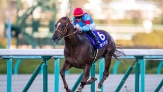 【朝日杯FS】武豊「勝った馬が強かった」レース後ジョッキーコメント