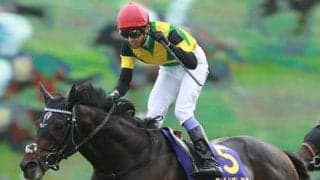 有馬記念は、人気落ちのＧＩ馬、菊花賞馬、グランプリ男で夢を見よ！