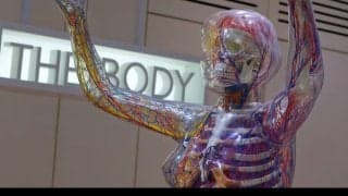 見えないカラダの大掃除ができるイーマサウンドとは？