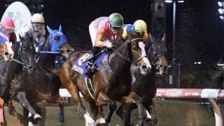 【全日本2歳優駿】デムーロ「手前を替えるのが…」テイエムサウスダンは伸び切れず5着