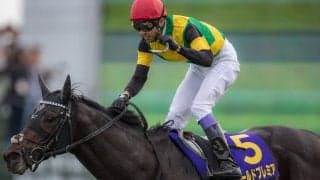 【武豊日記】いよいよ有馬記念