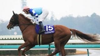 有馬記念はドラマティック。引退馬２頭か実力３歳馬が劇的結末を呼ぶ