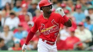 【MLB】カージナルスの元G外野手　“日本キラー”韓国左腕入団の煽り受け戦力外に