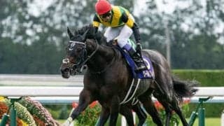 有馬記念はアーモンドアイを信頼。相手は３歳馬。なかでも妙味は…