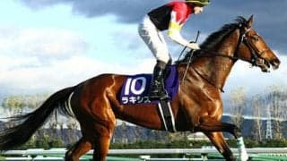 ラキシスの初子シルヴィス。「性格はおっとりも能力の高さを感じる」