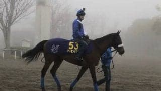 【有馬記念】アーモンドアイ ルメール「勝つ自信ある」