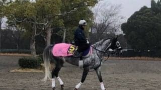 【有馬記念】アエロリット 菊沢師「上手く息をいれられれば」