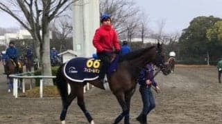 【有馬記念】フィエールマン  海外帰りも状態はいい