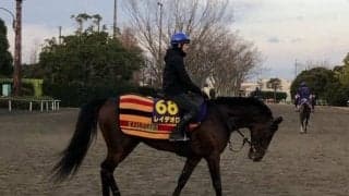 【有馬記念】レイデオロ 三浦との新コンビで大逆転狙う