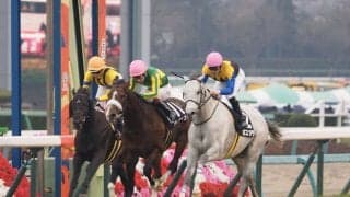 【グッドラックHC】ルメール×国枝師のボスジラが勝利！