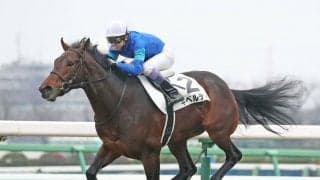 【新馬/中山5R】武豊騎乗のギベルティがデビューV！