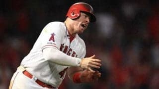 阪神が新助っ人5選手の背番号発表　ボーアは「41」、サンズは「52」