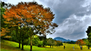 ノンゴルファー、サブスクリプションや初心者向けコースを重要視…ゴルフに関する調査