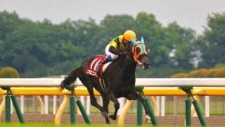 クロコスミア号が競走馬登録抹消