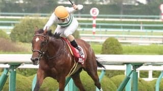 カンタービレ号が競走馬登録抹消