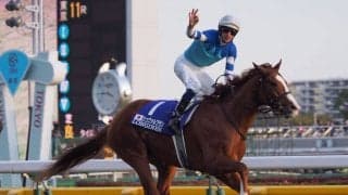 シュヴァルグラン号が競走馬登録抹消