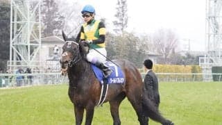 【武豊日記】充実した1年でした