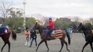 【ホープフルS】オーソリティ 池添謙「当日落ち着いてくれると」