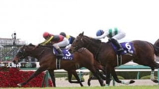 アルアイン号が競走馬登録抹消