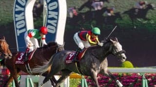 アエロリット号が競走馬登録抹消