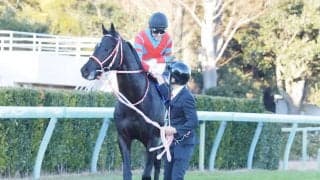 【ホープフルS】JRA今年最後のG1はコントレイルが無傷の3連勝で締める！