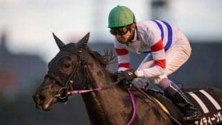 【2019ファイナルS】2019年最後のレースは武豊が締める