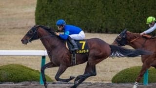 【ベテルギウスS】ワイルドカードがダートで6勝目