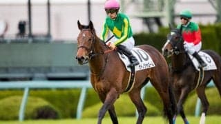 【新馬/阪神5R】1億9000万ホース！サトノシャロームがデビューV