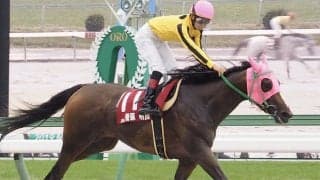 2019年度「民放競馬記者クラブ賞」は菅原明良騎手が受賞