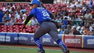 「来季はニュー関根が…」　メキシコWLで大活躍のDeNA若武者にファン期待