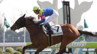 【京都金杯】枠順と見どころ サウンドキアラは2枠3番