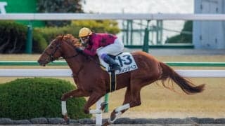 【新馬/京都3R】武豊オレンジペコがデビュー勝ち！