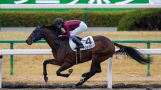 【京都1R】関西のオープニングレースは武豊がV！