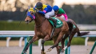 【京都金杯】売り上げ大幅増！サウンドキアラが重賞初V