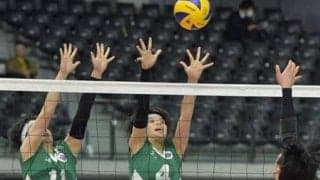 【春高バレー】和歌山信愛は盛岡誠桜に敗れる